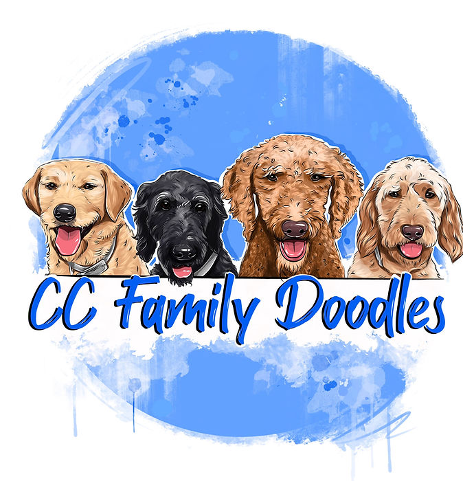 CC Family Doodles illustrated logo
